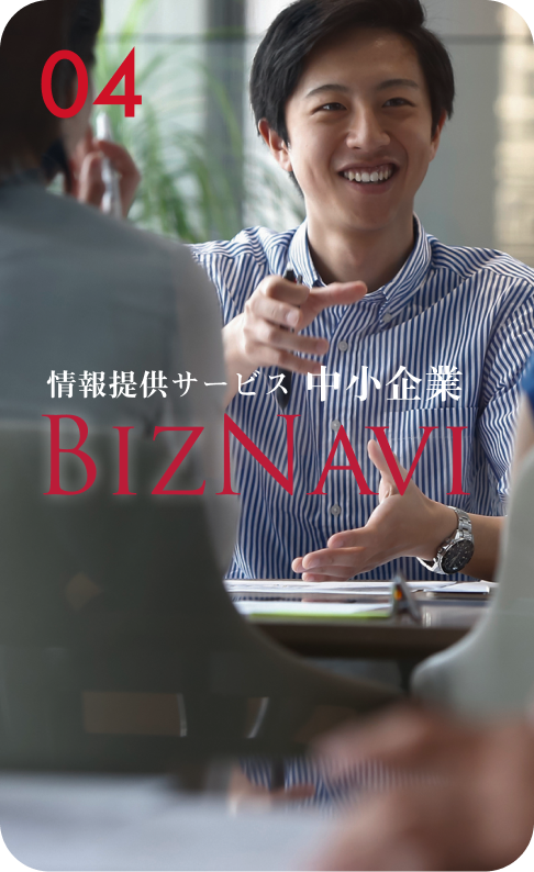 BizNavi